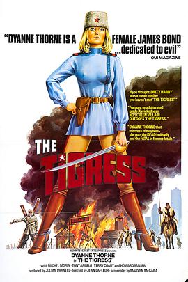 浙江互联网seo优化什么价格