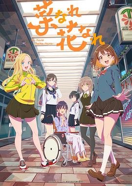 高密seo站外优化